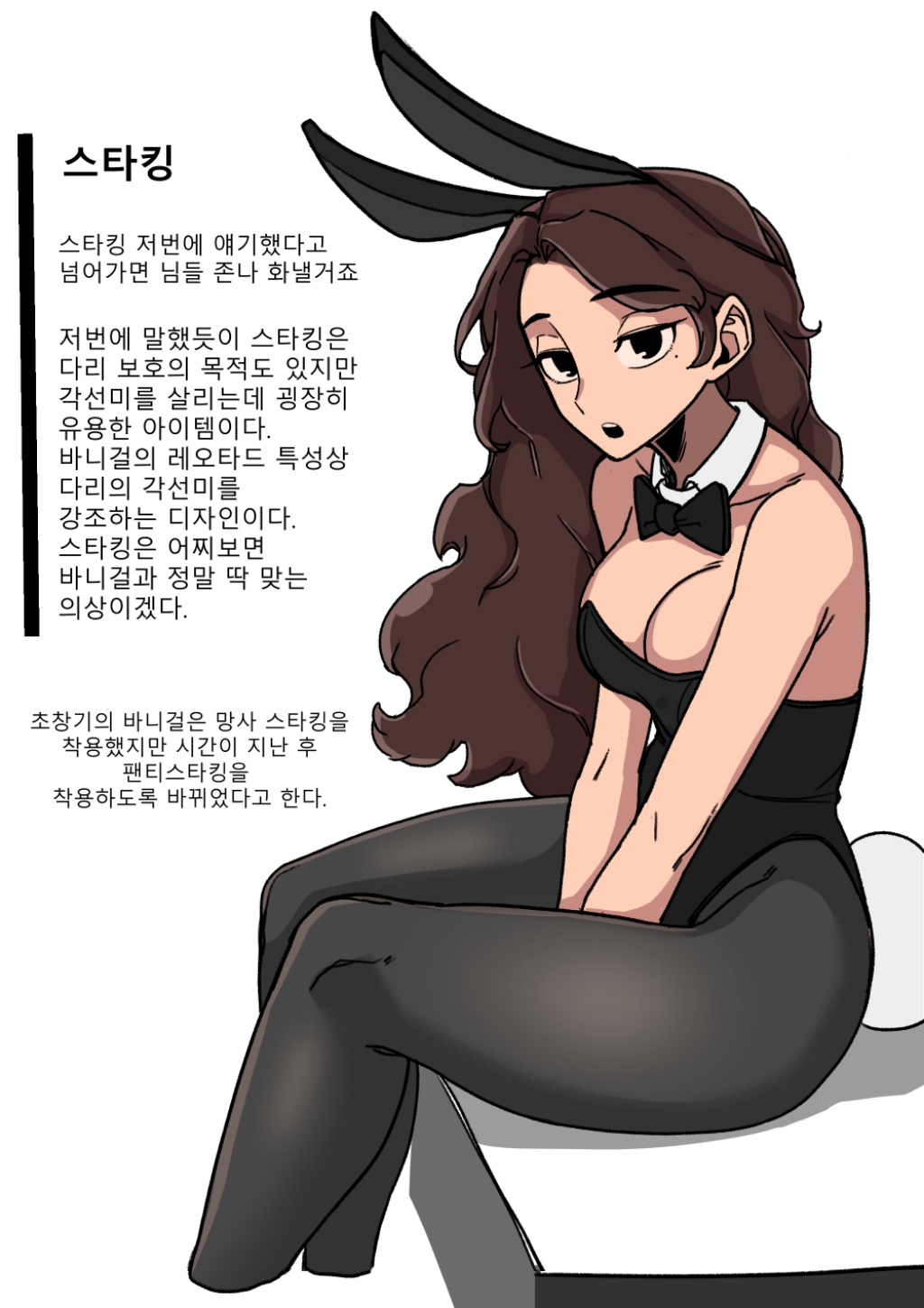 바니걸에 대해 알아보는 만화.jpg | 인스티즈