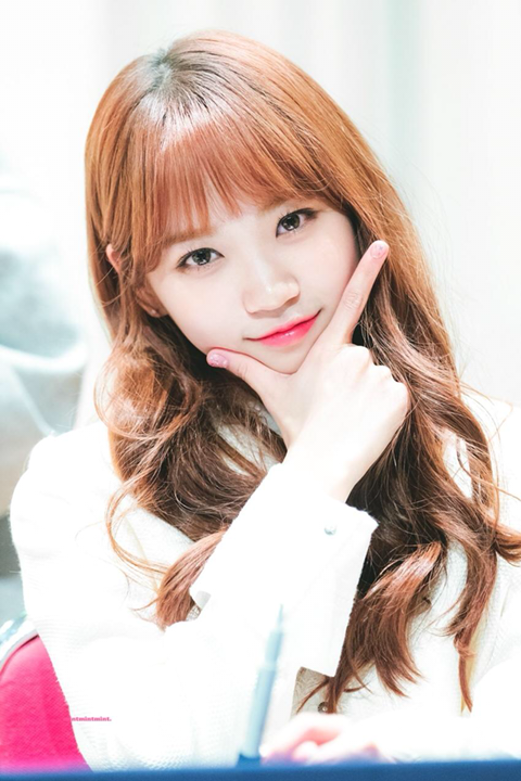 아이즈원) 시바쌈무 고화질 | 인스티즈