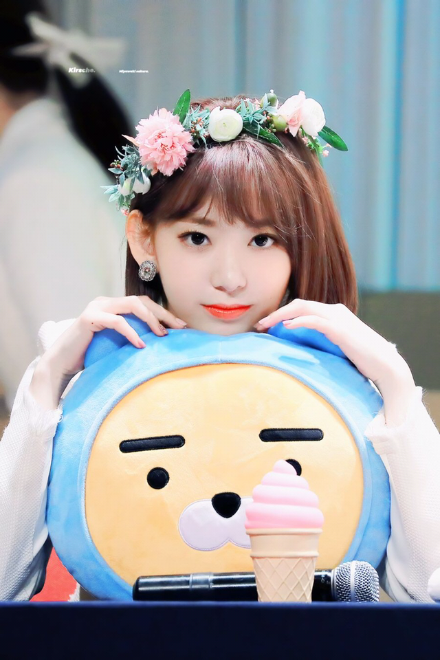 아이즈원) 귀여운짓 맛들린 미야와키상 | 인스티즈