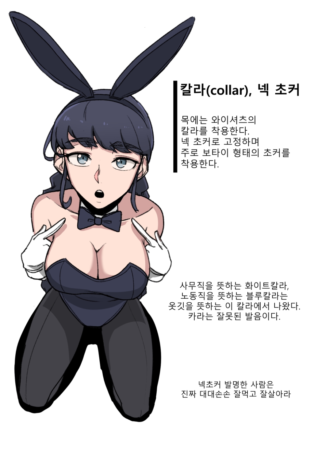 바니걸에 대해 알아보는 만화.jpg | 인스티즈