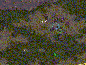 [스타1] 김택용 컨트롤.GIF | 인스티즈