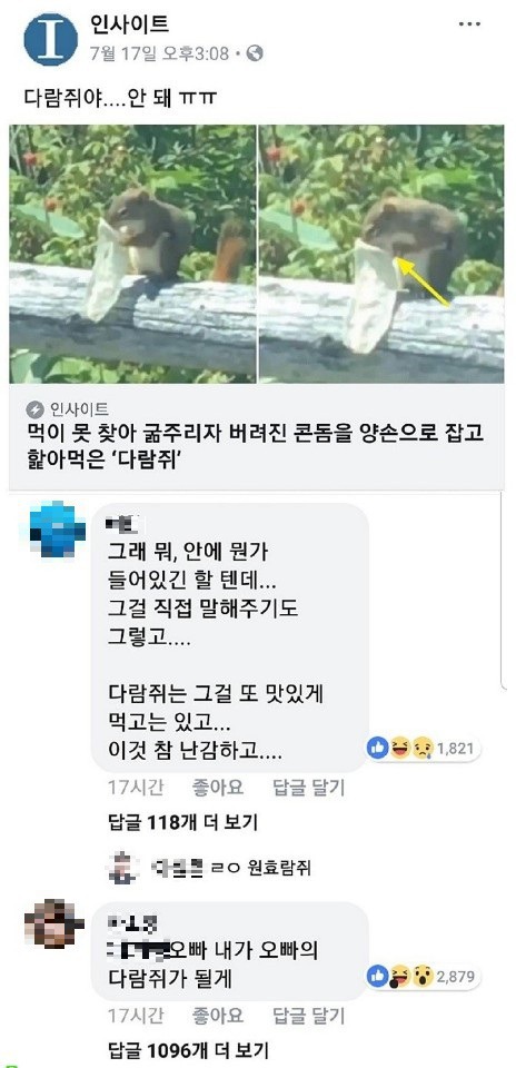 콘돔 먹는 다람쥐 | 인스티즈