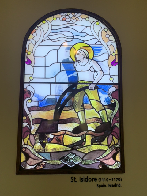 제주 여행 첫째날 | 인스티즈