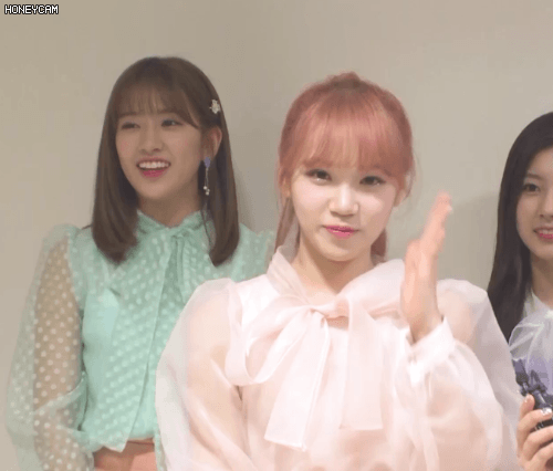 다시 보고싶은 아이즈원 자몽쌈. jpgif | 인스티즈