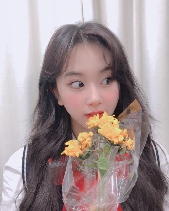 트와이스 채영 인스타그램 | 인스티즈