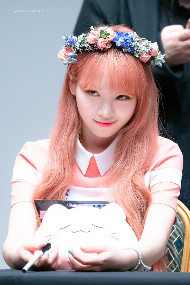 잔망미 터지는 쌈무 아이즈원 김채원.jpgif | 인스티즈