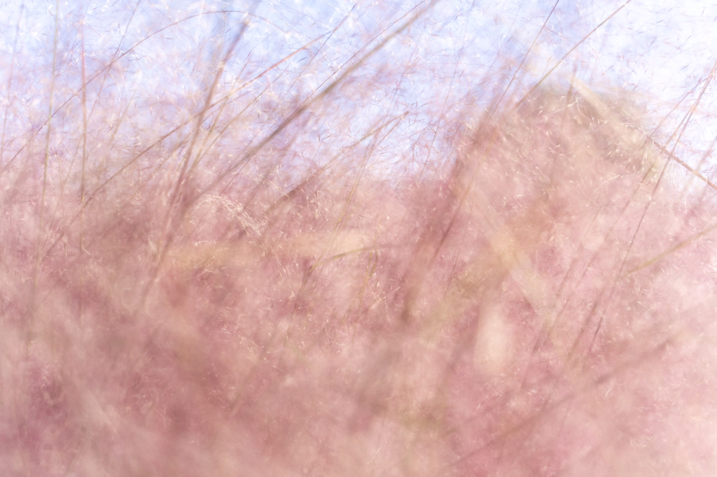 2018년 찍었던 사진 중 맘에 드는 것들 | 인스티즈