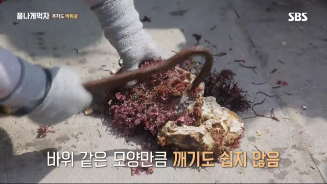 추자도 바위굴 먹는 트와이스 정연X다현.jpg | 인스티즈