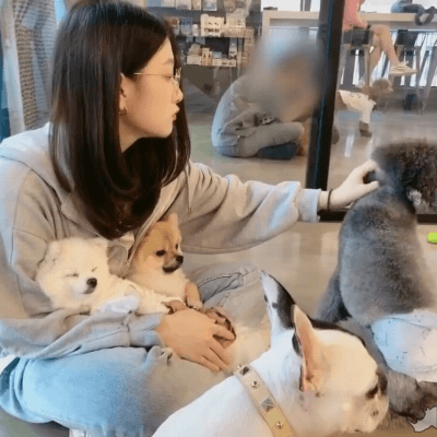 개놈이 부러워서 프로미스나인 이서연.gif | 인스티즈