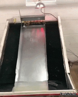 아기오리 전용 워터슬라이드.gif | 인스티즈