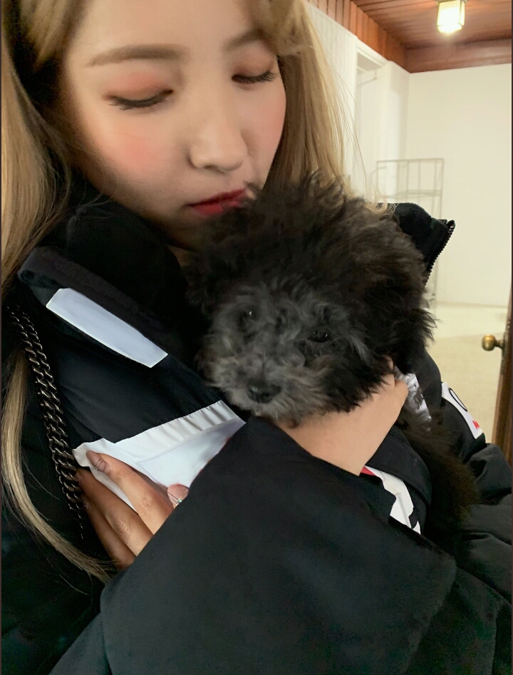 여자친구 일본 공식 트위터 쇠💖먼지 | 인스티즈