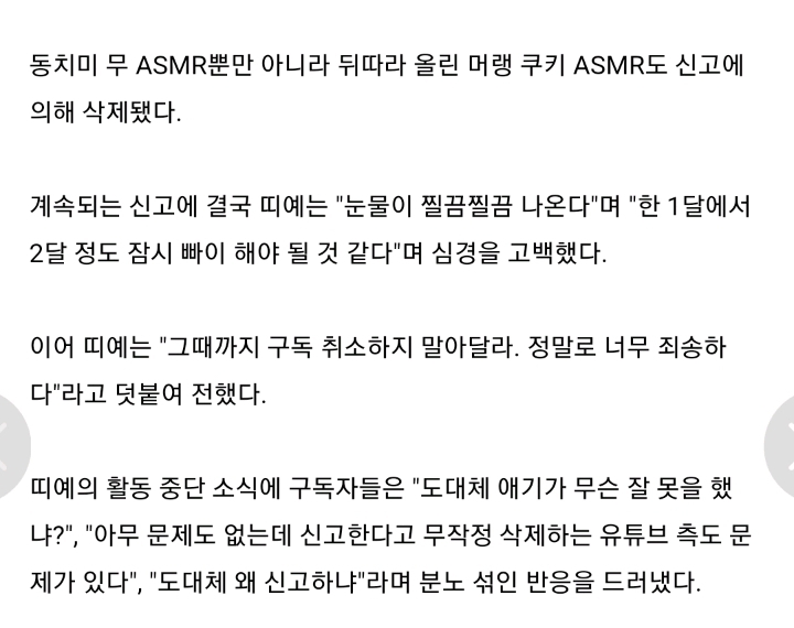 화제의 초등학생 유투버가 신고 테러를 당한 이유.jpg | 인스티즈