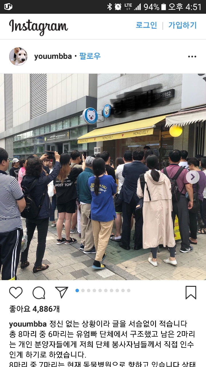 폐업 정리한다던 우이동 펫샵 근황 | 인스티즈