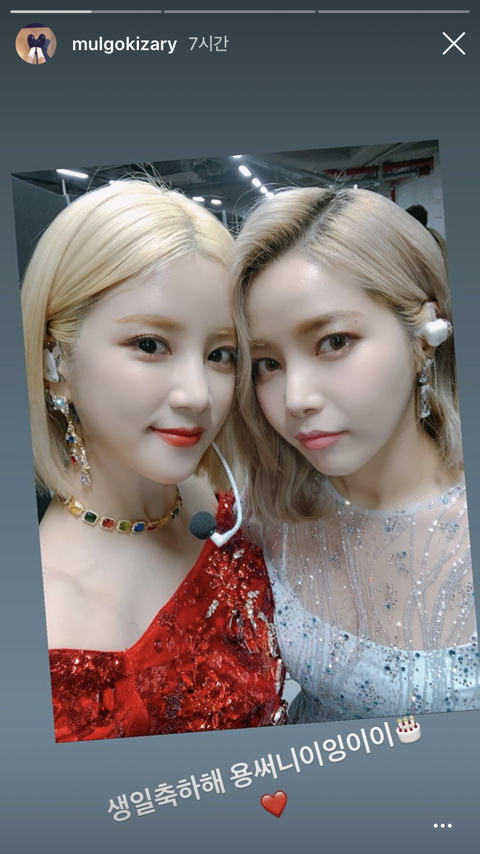 마마무 솔라 에이핑크 초롱.jpg | 인스티즈