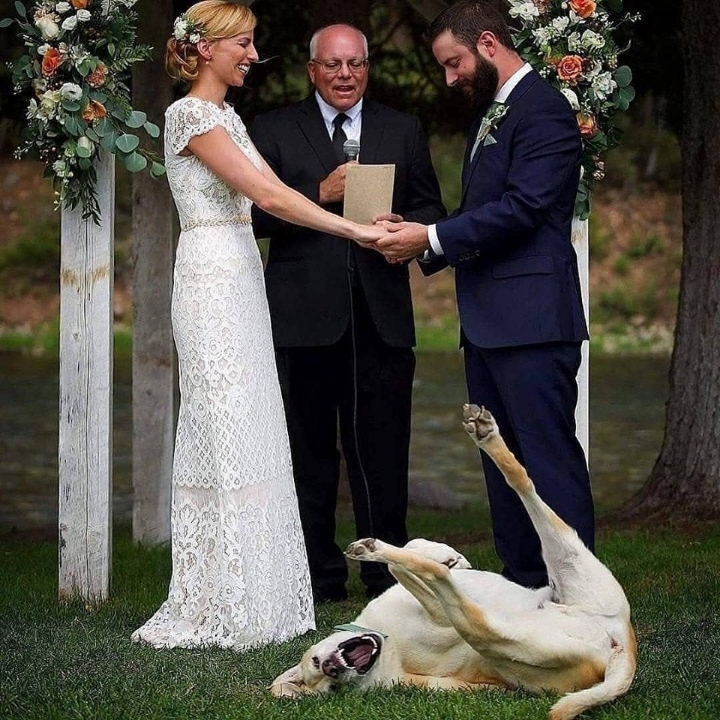 난 이 결혼 반댈세!!!.jpg | 인스티즈