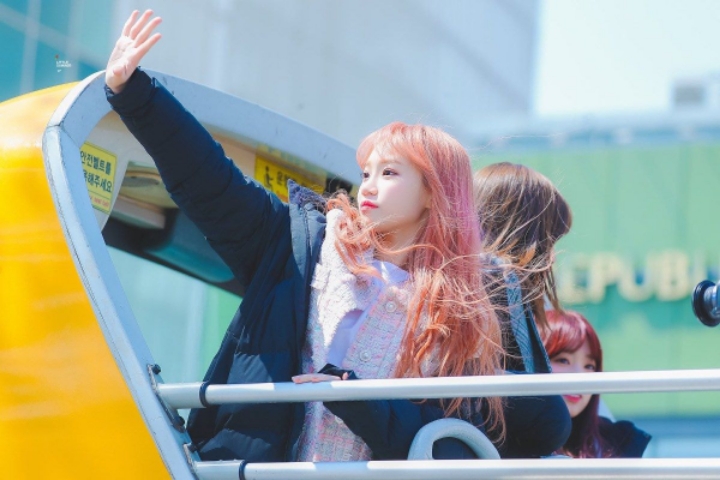 다시 보고싶은 아이즈원 자몽쌈. jpgif | 인스티즈