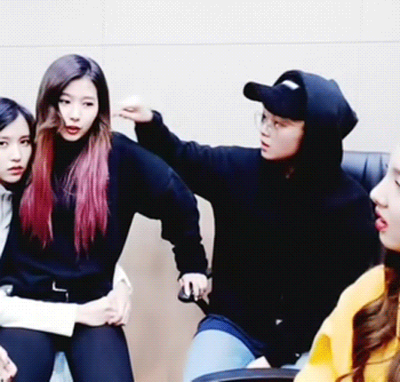 시바견을 좋아하는 정연이 | 인스티즈