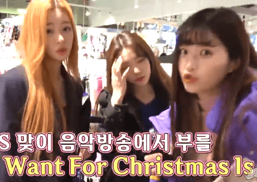 V앱 셀럽티비 연애소녀에 출연한 프로미스나인 | 인스티즈