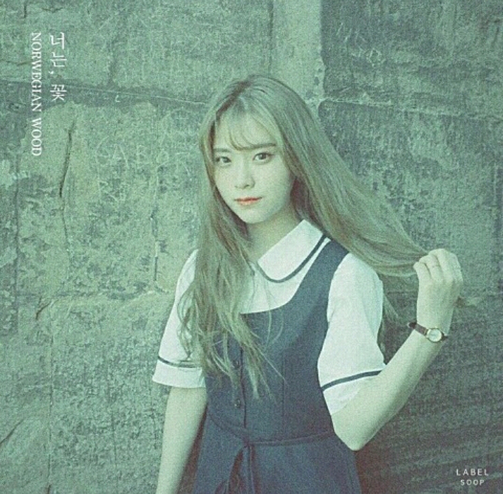 좋아하는 노래 1일 1곡 추천 프로젝트 #4 | 인스티즈