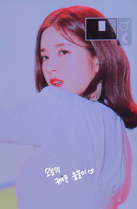 우리 이쁜 에이핑크초롱이 보고 가세요.jpg | 인스티즈