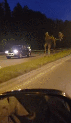 해외 자동차 매체에서 회피기동 테스트를 하는 이유.jpgif | 인스티즈