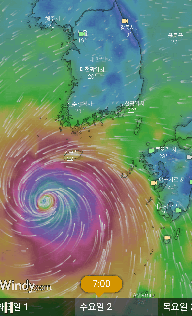 ECMWF(유럽중기예보센터) 예측 18호 태풍 미탁 예측 경로(제주, 남해안, 동해안 직격탄/제주-거제-양산, 부산-울산-경주-포항-울릉-독도 사이) | 인스티즈