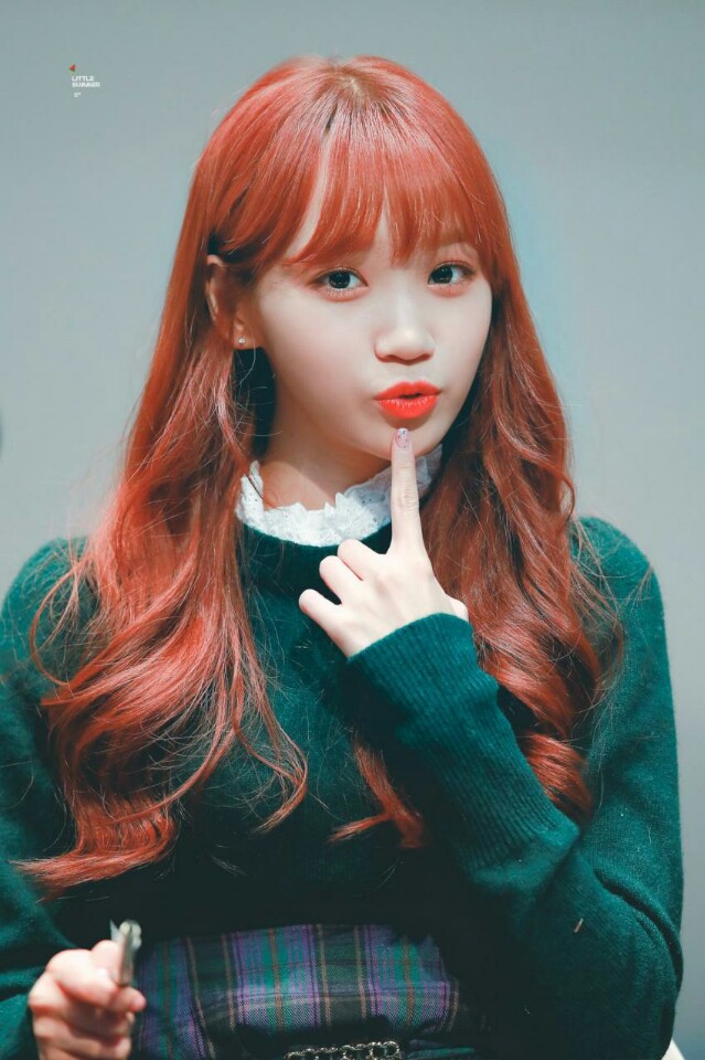 채원이 보고가세여 | 인스티즈