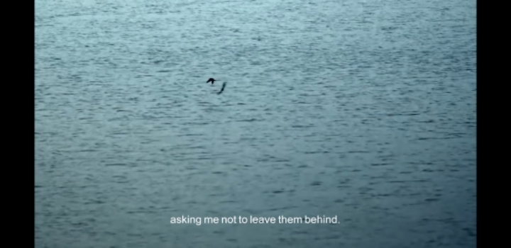 기생충에 비해 주목도가 덜했지만 2020 아카데미 시상식에 노미네이트된 한국 작품 | 인스티즈