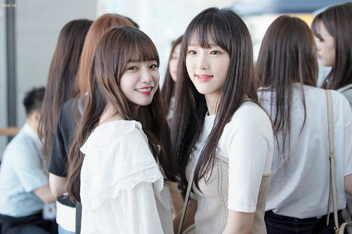 아이즈원 공식커플 | 인스티즈