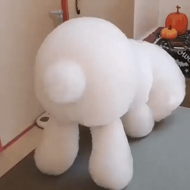 풍선 같은 댕댕이 | 인스티즈