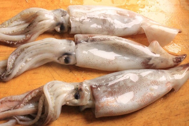 크리스마스에 솔로인 우리 락징어들을 위한 짤 | 인스티즈