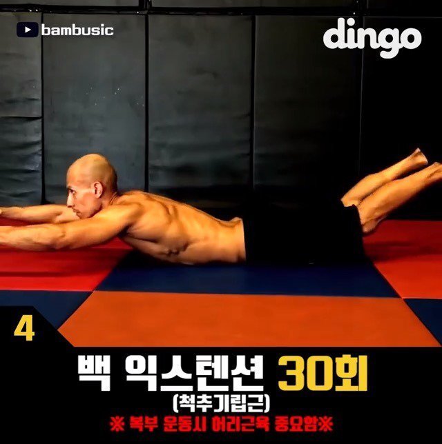 뱃살빼기 운동법 | 인스티즈