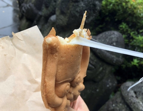 제주도에서만 파는 빵.jpg | 인스티즈