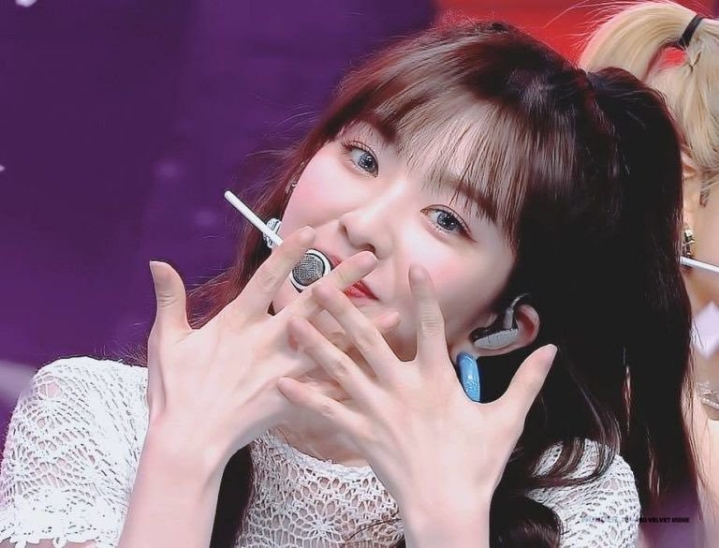 드디어 다시 복구 된 레드벨벳 아이린 개인 인스타 계정.renebaebae | 인스티즈