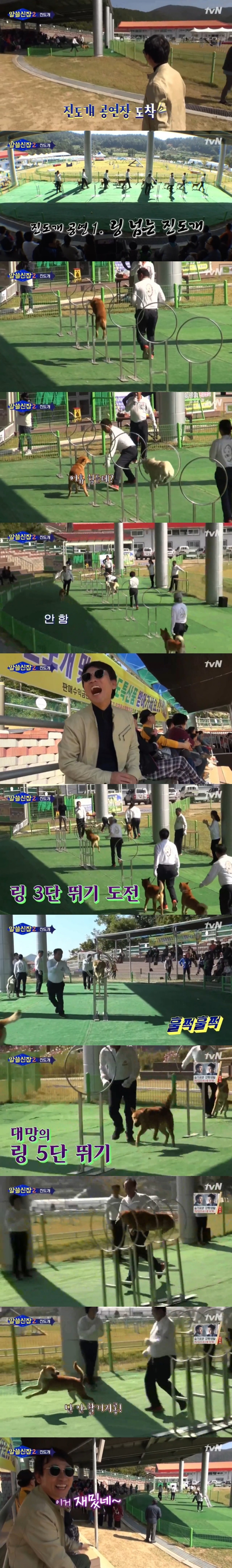 유시민 작가가 알쓸신잡에서 진도를 소개한 이유 | 인스티즈