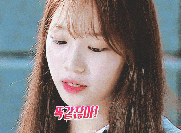아이즈원 김채원 프듀시절. gif | 인스티즈
