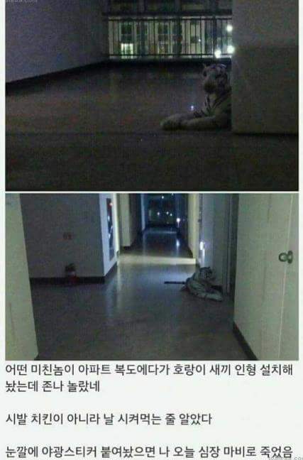 메랑이 인형 팝니다 | 인스티즈
