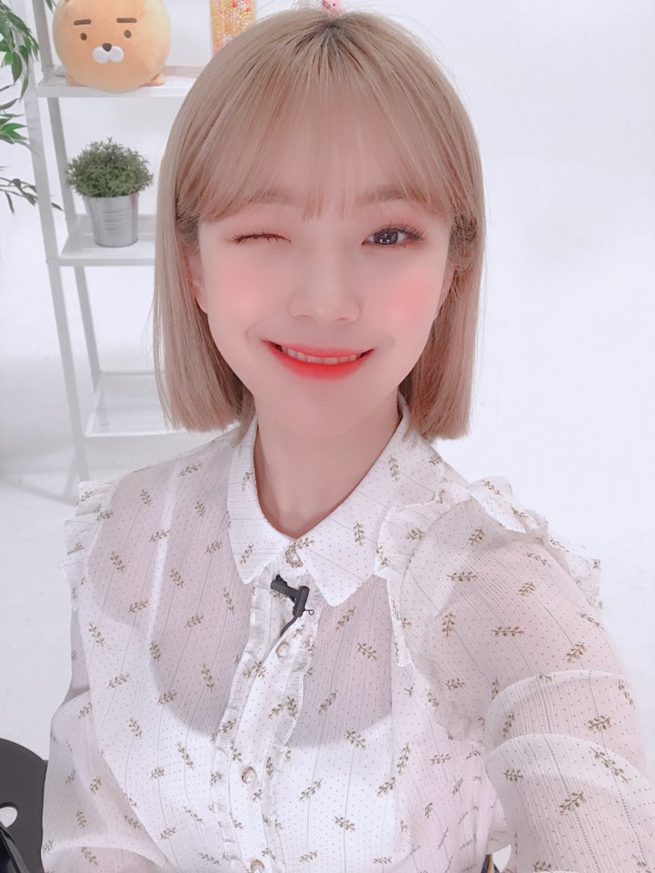 데뷔 300일기념 프로미스나인 백지헌 | 인스티즈