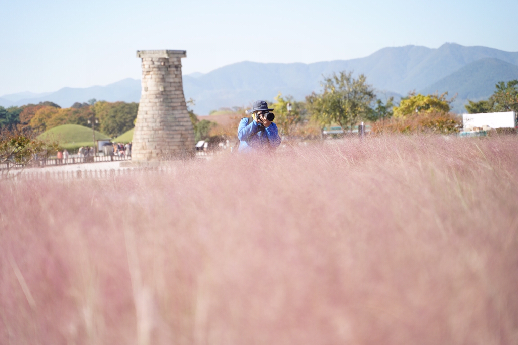 2018년 찍었던 사진 중 맘에 드는 것들 | 인스티즈