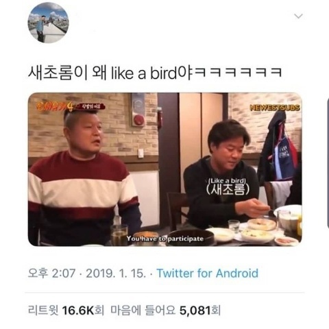 새초롬은 뭐라고 번역해야하지? | 인스티즈