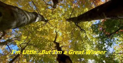 I'm Little...But I'm a Great Winner | 인스티즈