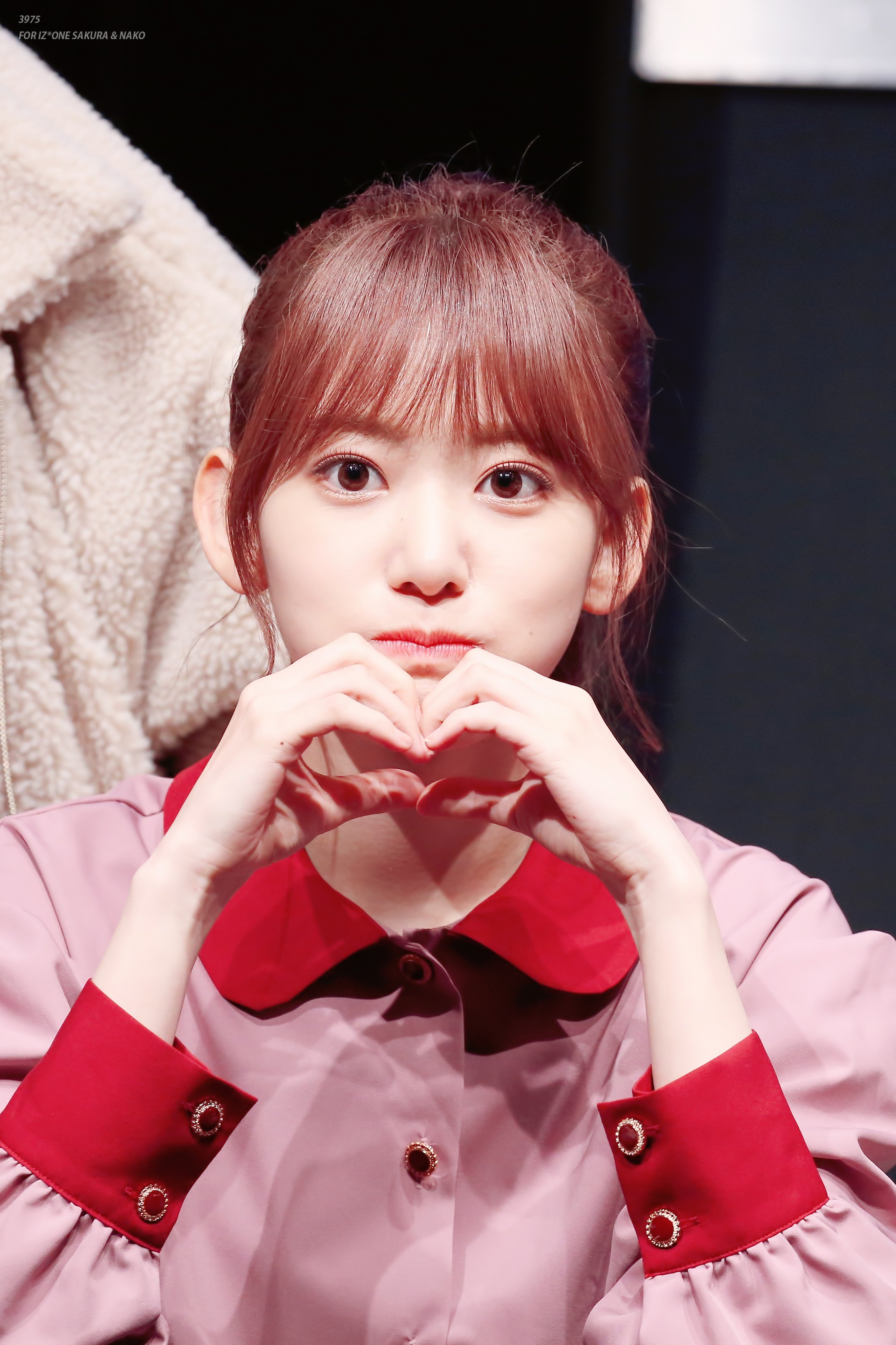 포니테일이 잘어울리는 아이즈원 사쿠라.jpg | 인스티즈