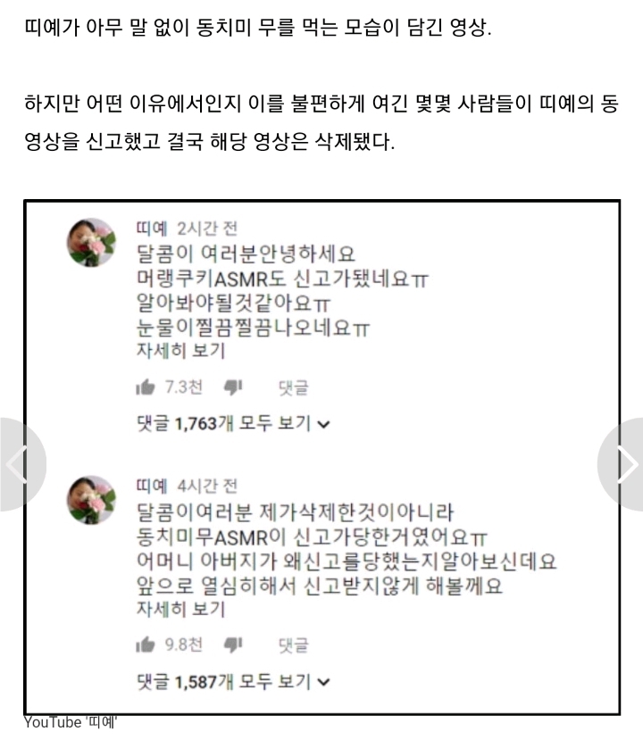 화제의 초등학생 유투버가 신고 테러를 당한 이유.jpg | 인스티즈