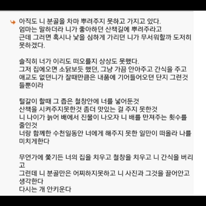 강아지 다시는 안키운다.jpg | 인스티즈