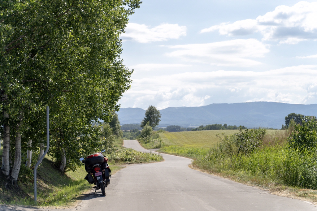 2018년 찍었던 사진 중 맘에 드는 것들 | 인스티즈