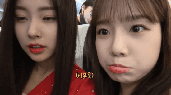 아이즈원) 강혜원을 너무 좋아하는 조유리 | 인스티즈