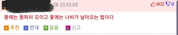 마인드의 차이.jpg | 인스티즈