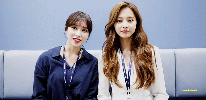 후쿠오카에서 한창 몸풀고 있을 쯔뭉이 &amp; 댕댕이 | 인스티즈