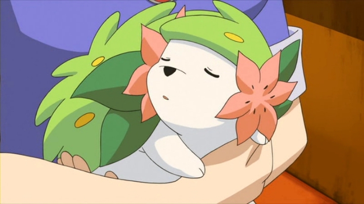 자신이 가장 귀여워 하는 포켓몬은? | 인스티즈