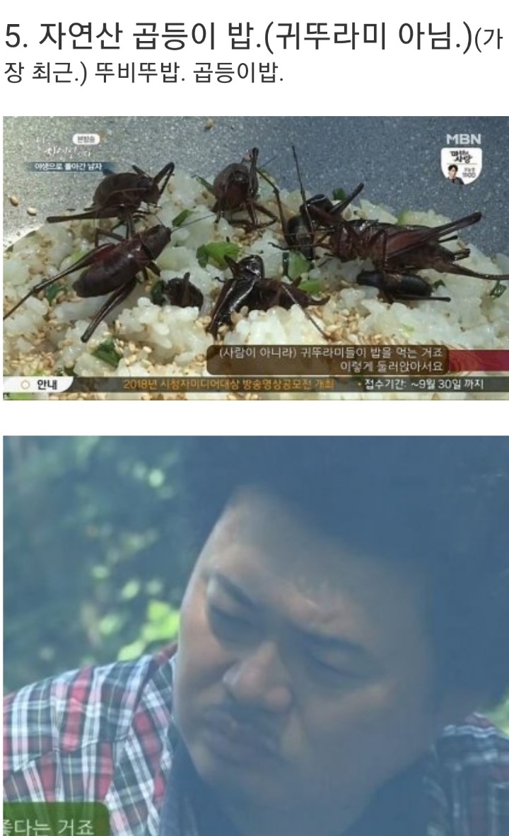 나는 자연인이다 5대 진미 | 인스티즈